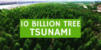 Billion tree Tsunami