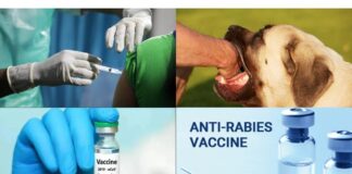 Anti-Rabies vaccine