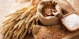 Wheat import