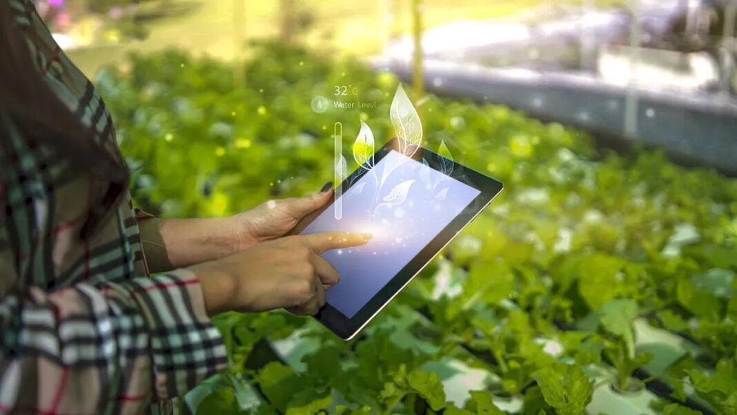 Digital Agriculture Farming in Punjab