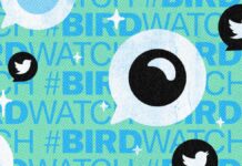 Twitter Birdwatch
