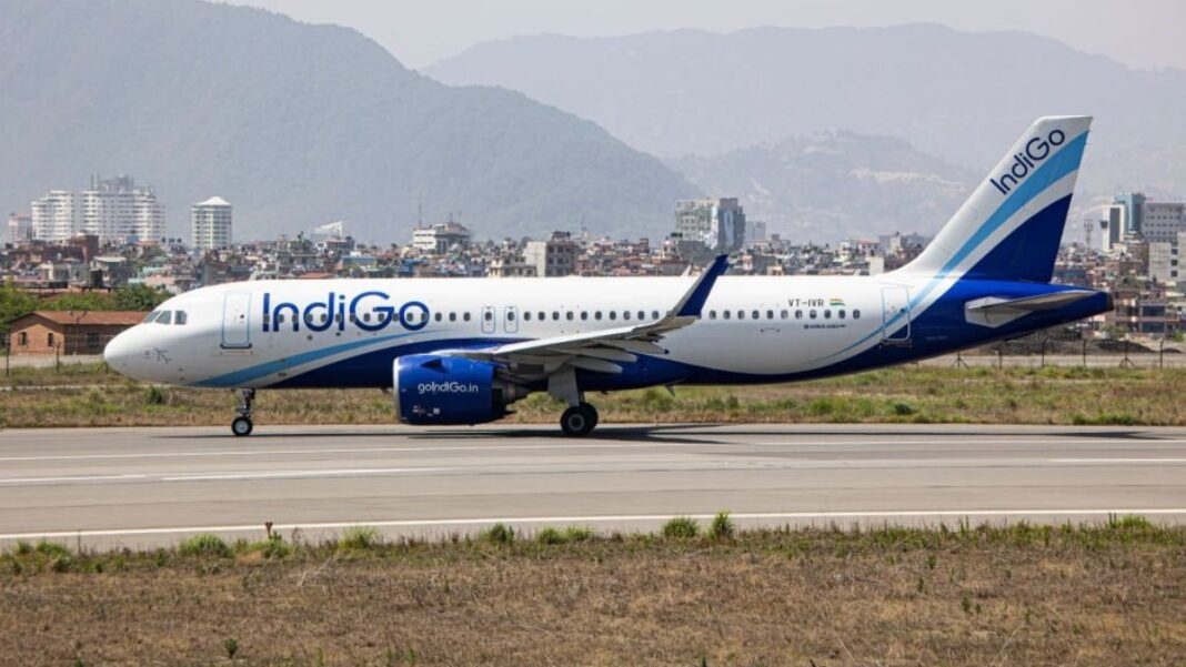 indigo